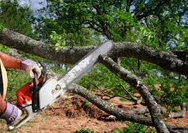 Lawn Watering Services in Rosedale, LA